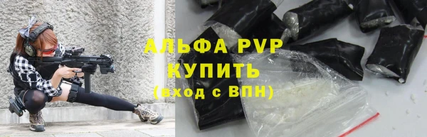 крисы Мегион