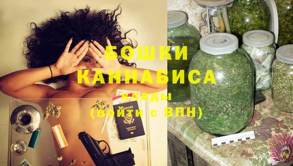 крисы Мегион