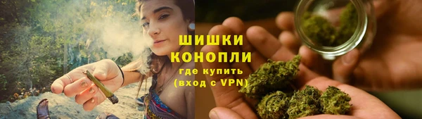 крисы Мегион