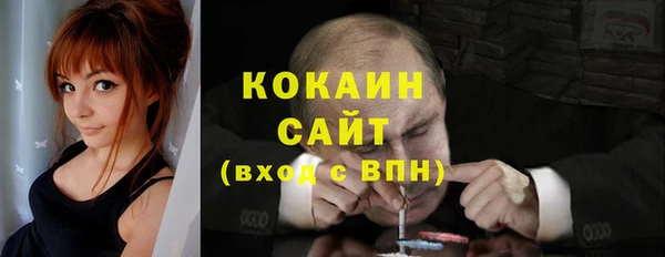 крисы Мегион