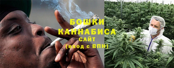 крисы Мегион