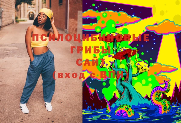 метадон Медвежьегорск