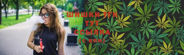 крисы Мегион