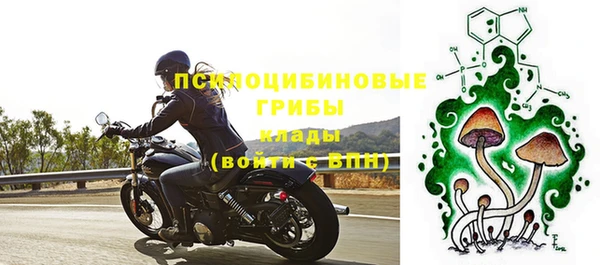 метадон Медвежьегорск