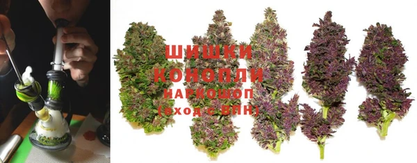 крисы Мегион
